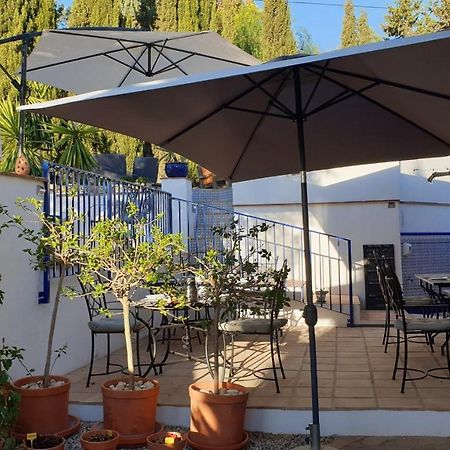 Premium Bed & Breakfast Casa Alegria Andaluza Los Romanes 外观 照片