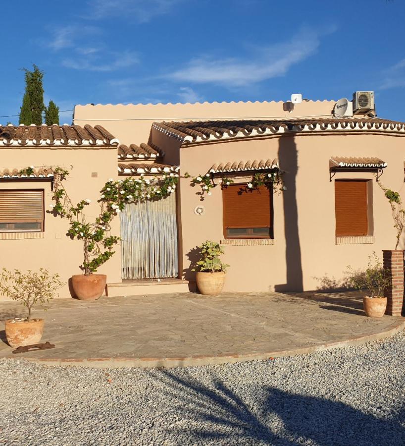 Premium Bed & Breakfast Casa Alegria Andaluza Los Romanes 外观 照片