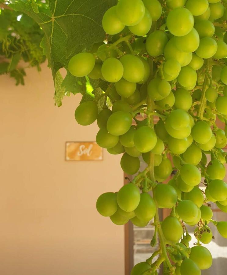 Premium Bed & Breakfast Casa Alegria Andaluza Los Romanes 外观 照片